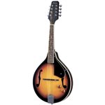 ALABAMA - ALM15E - Mandoline électrique acoustique de style A - Tobacco Sunburst